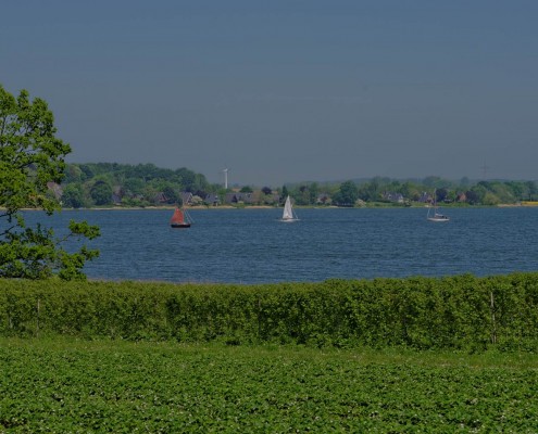 Café Obsthof in Lindaunis an der Schlei