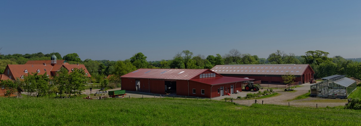 Gut Stubbe Landwirtschaftsbetrieb